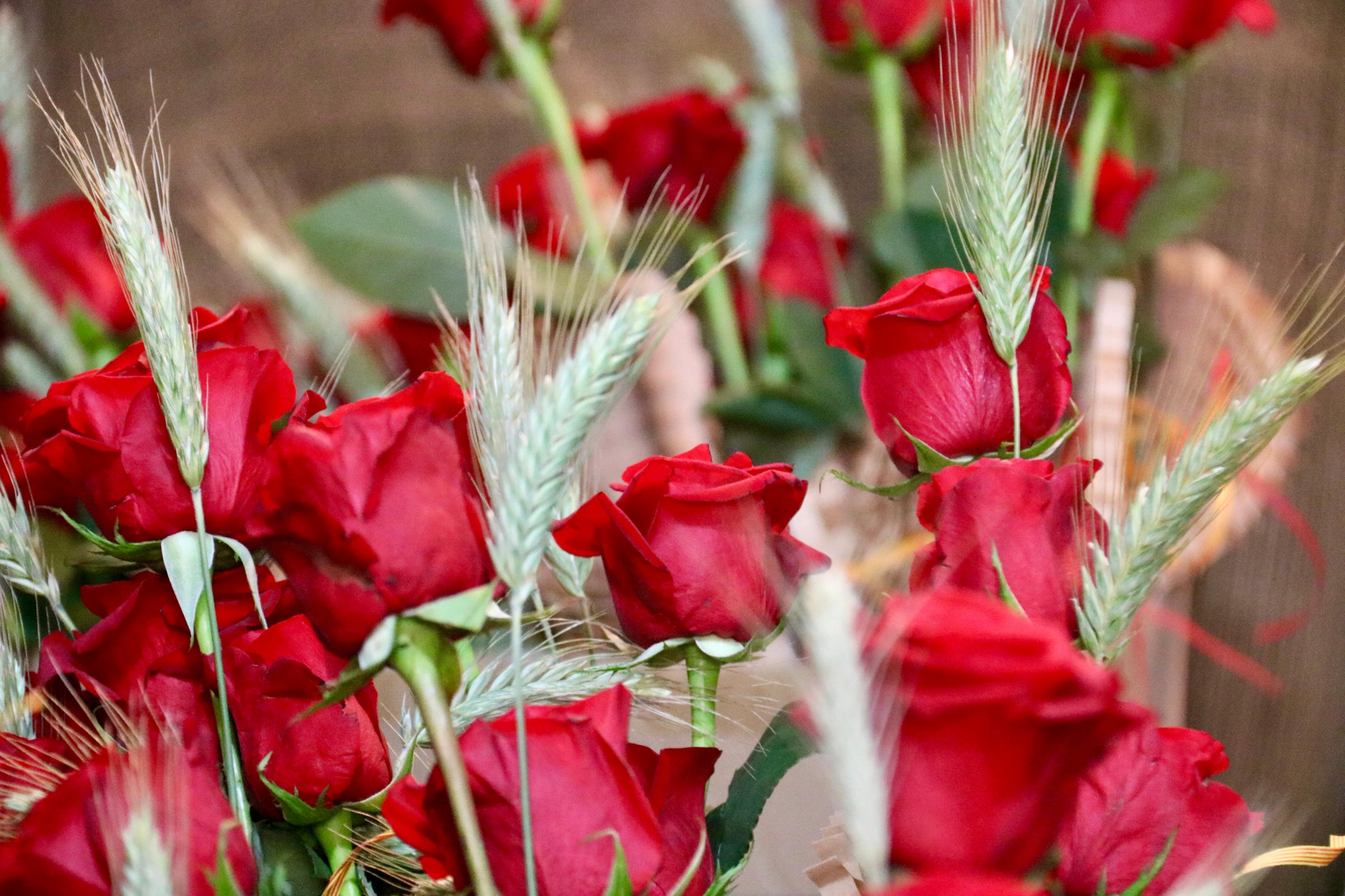 El Gremi de Floristes veu difícil assolir els set milions de roses per Sant Jordi però celebra "l'ambient" als carrers